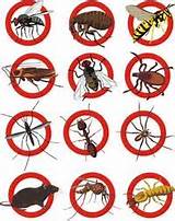 Anti Termite Checklist