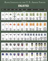 Ranks Of Us Military In Order Images