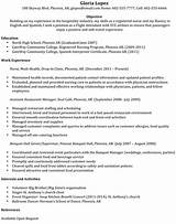 Photos of Resume Format For Flight Attendant