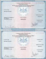 Photos of Therapist License