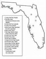 Colleges And Universities In Florida