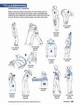 Photos of Stretching Exercise Routine