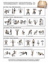 Pictures of Fitness Routine In Gym