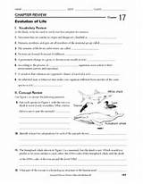 Theory Of Evolution Worksheet Answers