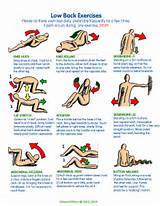 Images of Lower Back Pain Exercises