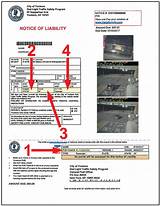 Tampa Red Light Ticket Payment Images