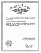 Fake Business License Template Photos