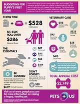 How Much Is Pet Insurance In Ontario