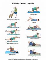 Lower Back Muscle Exercises At Home Pictures