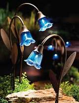 Photos of Solar Lights Garden Decor