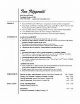 Insurance Agent Resume Examples Images
