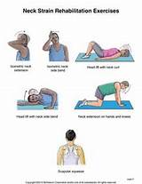 Muscle Exercises Pdf Photos
