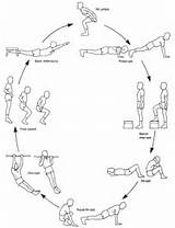 Pictures of Exercises For Circuit Training