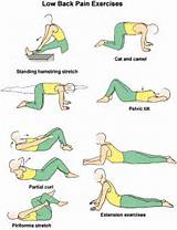 Lower Back Muscle Exercises Pictures