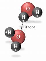 Photos of Hydrogen Bond