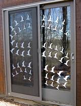 Pictures of Window Stickers To Protect Birds