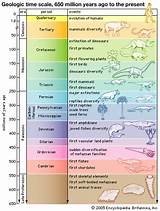 Fossils Geologic Time Scale Photos