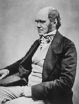 Robert Charles Darwin Theory Of Evolution Pictures