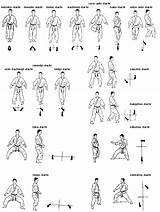 Images of Karate Basic Training Exercises