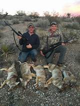 Coyote Hunting Outfitters Photos