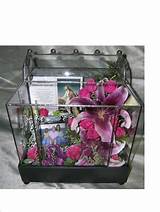 Flowers In Glass Case Images