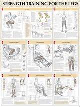 Pictures of Leg Workouts On The Wall