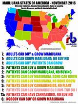 Idaho Marijuana Legalization Pictures