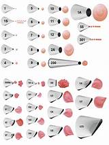 Photos of Wilton Flower Tips Chart