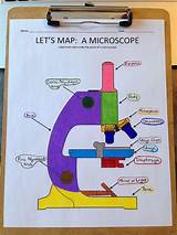 Microscopes For Middle School Students Images