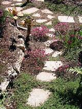 Pictures of Drought Tolerant Front Yard Design