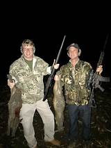 Hog Hunting Outfitters Texas Images