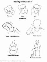 Pictures of Neck Stretching Exercises