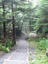 Pictures of Hiking Trails In The Great Smoky Mountains