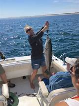 Truro Charter Fishing Pictures