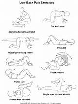 Core Muscle Exercises Handout