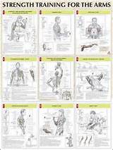 Pictures of Muscle Arm Exercises