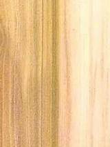 Yellow Poplar Wood For Sale Pictures