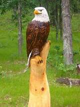 Photos of Chainsaw Wood Carvings