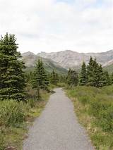 Pictures of Denali National Park Ak