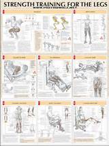 List Of Strength Training Exercises Pictures