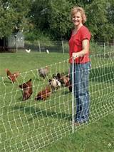 Electric Fence To Keep Dogs In Pictures