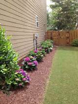 Photos of Landscaping Videos