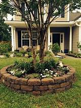 Images of Yard Landscaping Trees