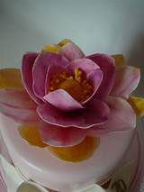 Lotus Flower Cake Pictures