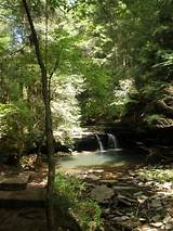 Smoky Mountain Hiking Trails Waterfalls Photos