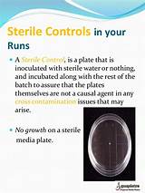 Photos of Sterile Plates
