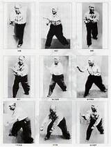 Dragon Style Kung Fu Pictures