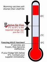 Medication Refrigerator Temperature Range Images