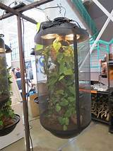 Images of Cheap Misting Systems For Reptiles