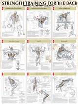 Core Strength Training Exercises Images